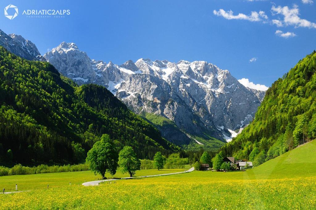 Apartments Julian Experience Rateče Dış mekan fotoğraf